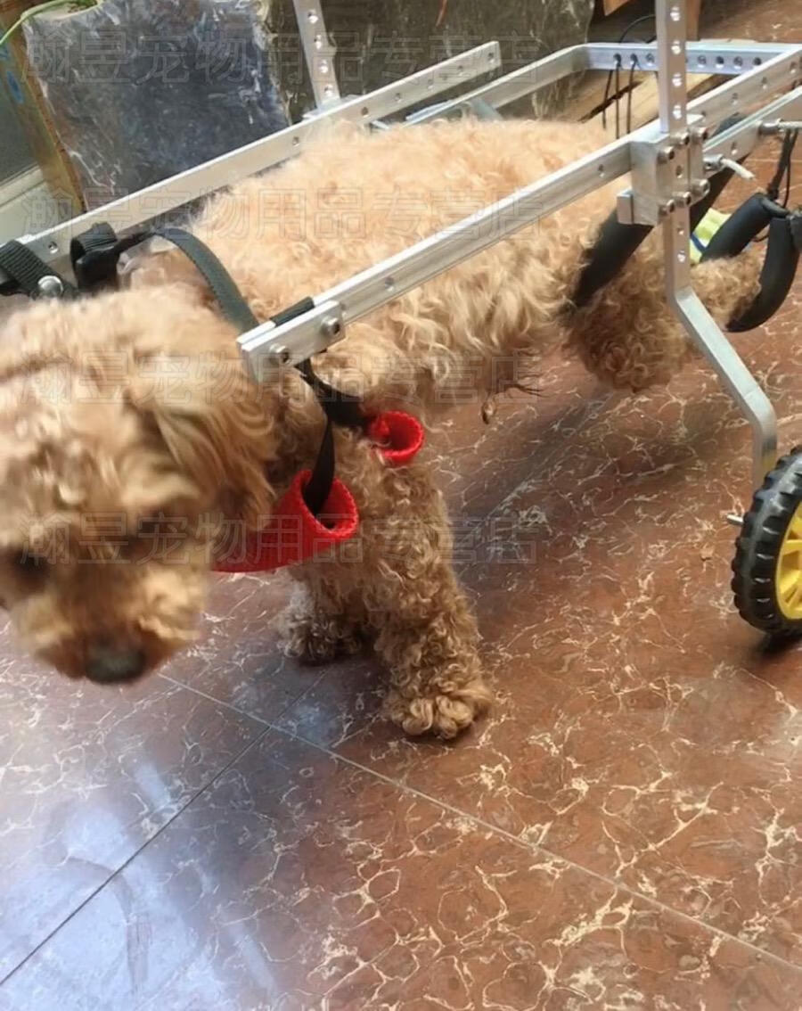 狗轮椅后肢瘫痪宠物代步车残疾狗狗后腿辅助猫泰迪大型小型犬支架