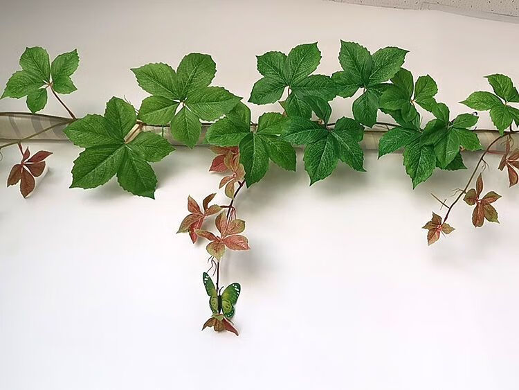 仿真爬山虎假花藤条植物塑料藤蔓绿叶空调水管道爬藤缠绕装饰遮挡 高
