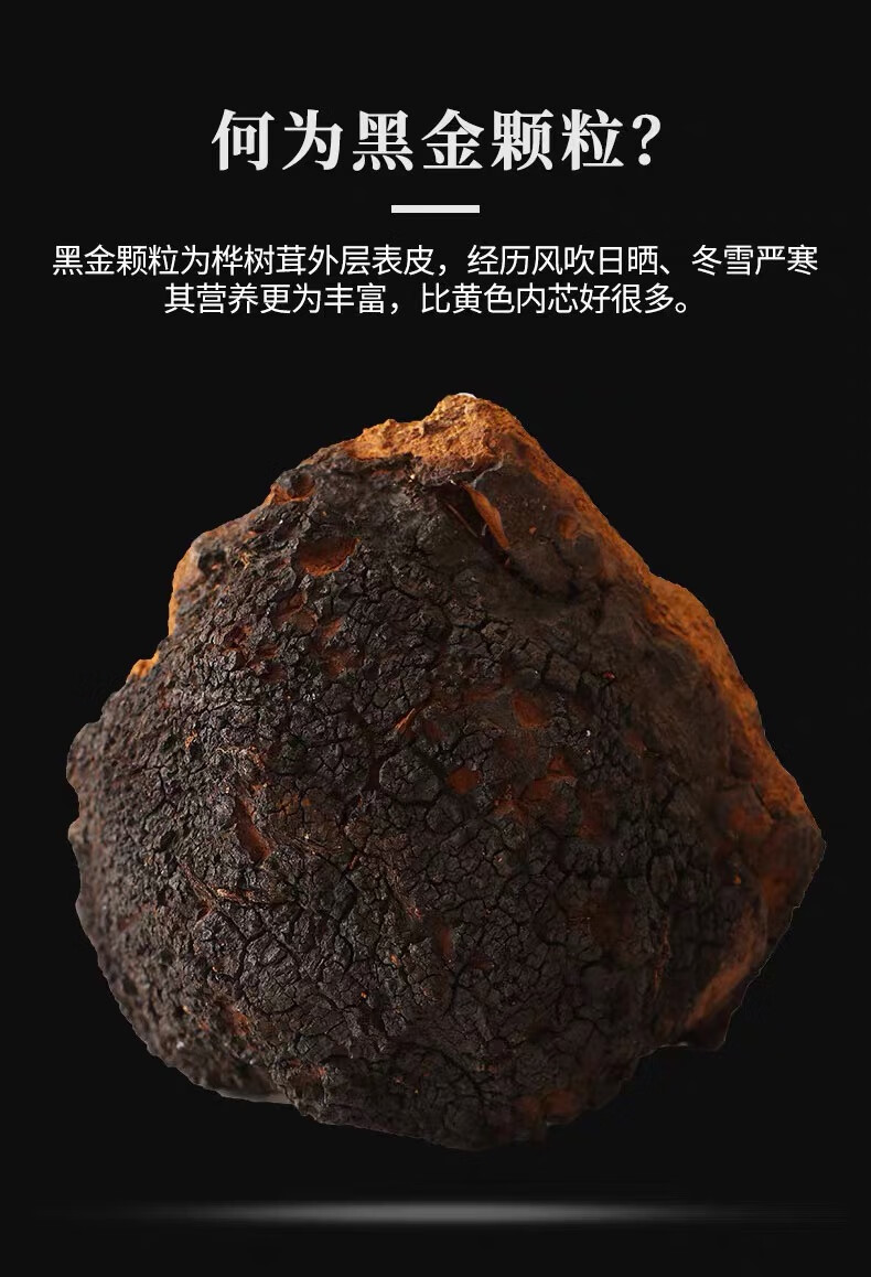 桦树茸长白山桦褐孔菌桦树茸黑晶125g