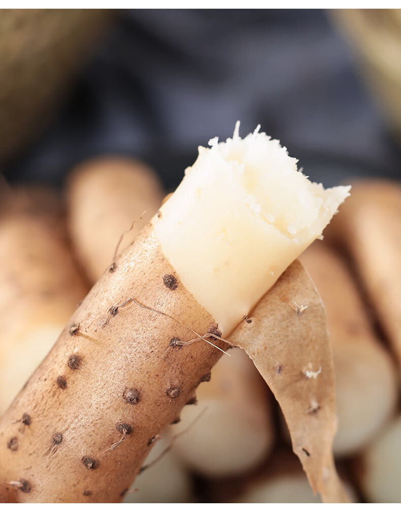 山药新鲜3斤新铁杆山药毛薯小白嘴铁棍淮山麻山药铁棒怀山药