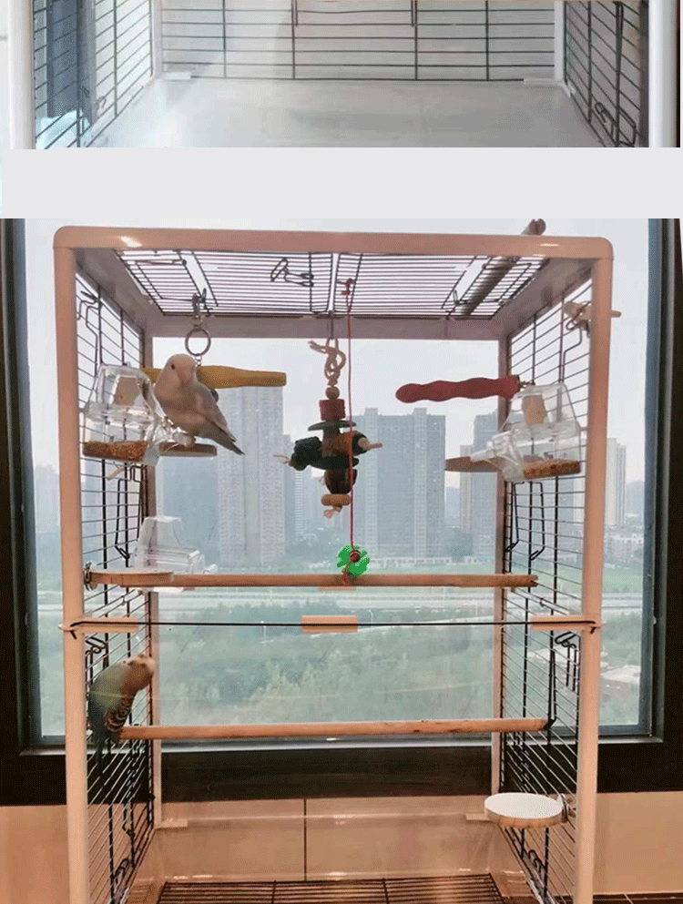 hkpz鹦鹉鸟笼大型豪华观赏虎皮玄凤牡丹鹦鹉专用笼子大号亚克力透明笼