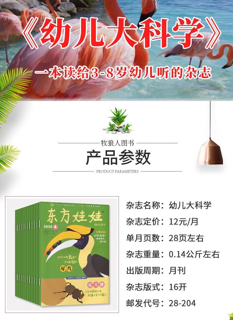 半年订阅 东方娃娃杂志幼儿大科学21年7 12月共6本打包3 8岁科普百科非年过期刊 摘要书评试读 京东图书