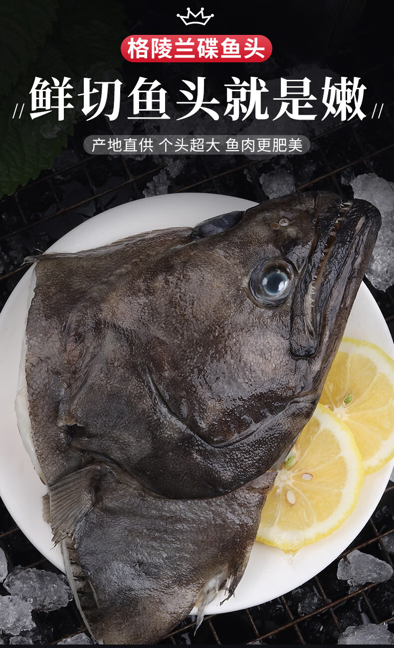 鸦片鱼头 新鲜超大碟鱼头 格陵兰深海比目鱼海鲜水产商用雅片鱼头华海