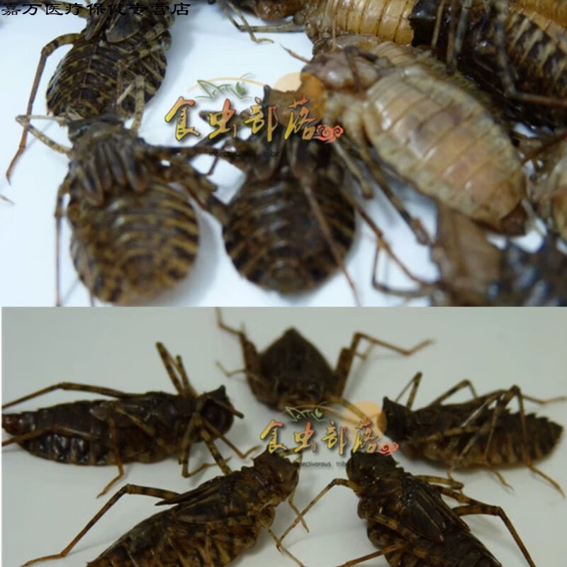 花初醒中药材新鲜短身水蜻蜓蜻蜓菱形蛹幼虫水虿食用昆250克生鲜冷冻