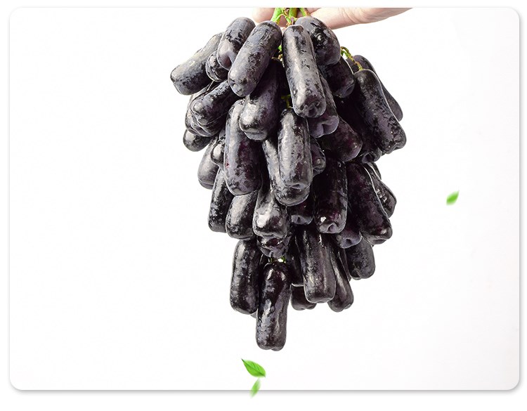 美国澳洲金手指黑提子甜蓝宝石黑加仑无籽黑提【顺丰空运】 澳洲金手