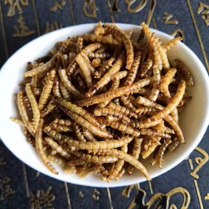 有仁堂五谷虫 中药材 黄金五谷虫 蝇蛆干 水仙子 蛆虫干 250克 500克