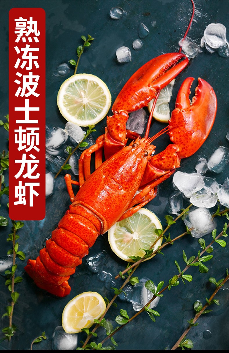 冰天冻地加拿大熟冻波士顿龙虾350g400g2只海鲜水产