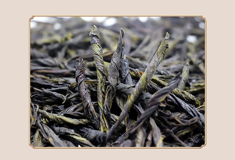 苦丁茶特级椰仙澄迈大叶苦丁花草茶160g罐装海南特产春茶嫩叶新茶茶叶