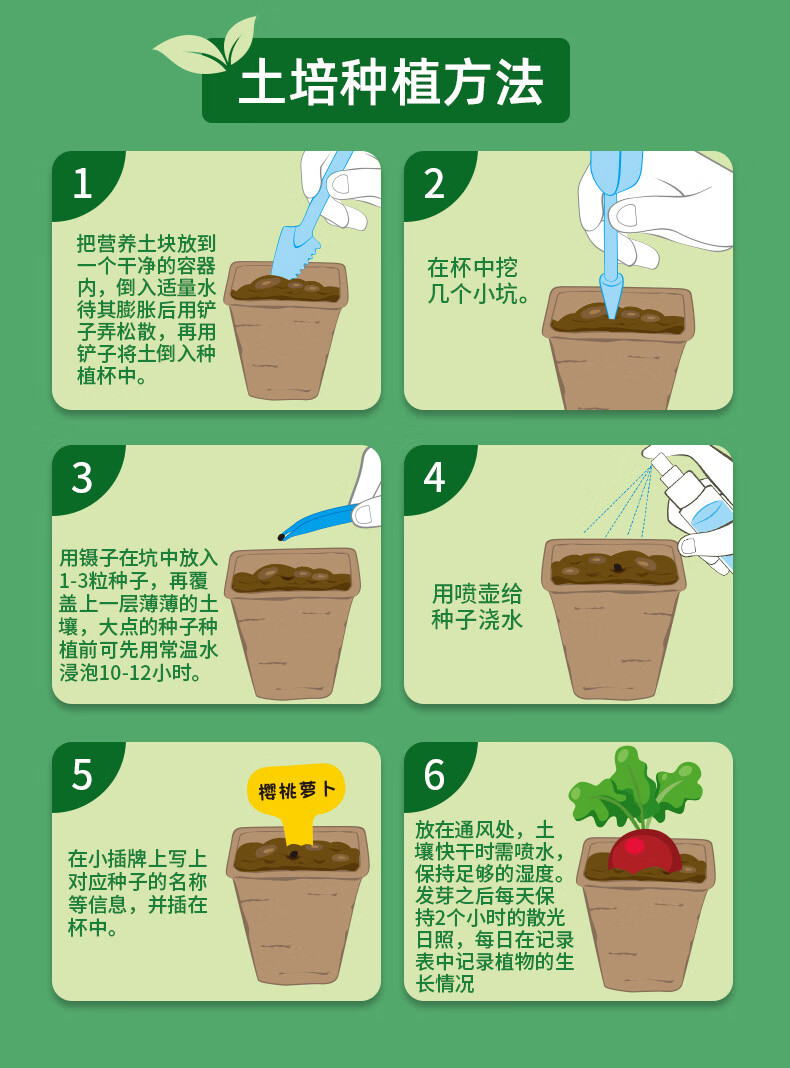 菜豆树的养殖方法图片