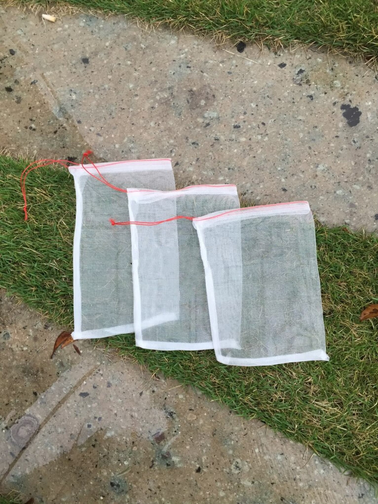 尼龙网袋种子袋水稻浸种袋防虫防鸟袋细火龙果葡萄套袋大号纱网袋 20*