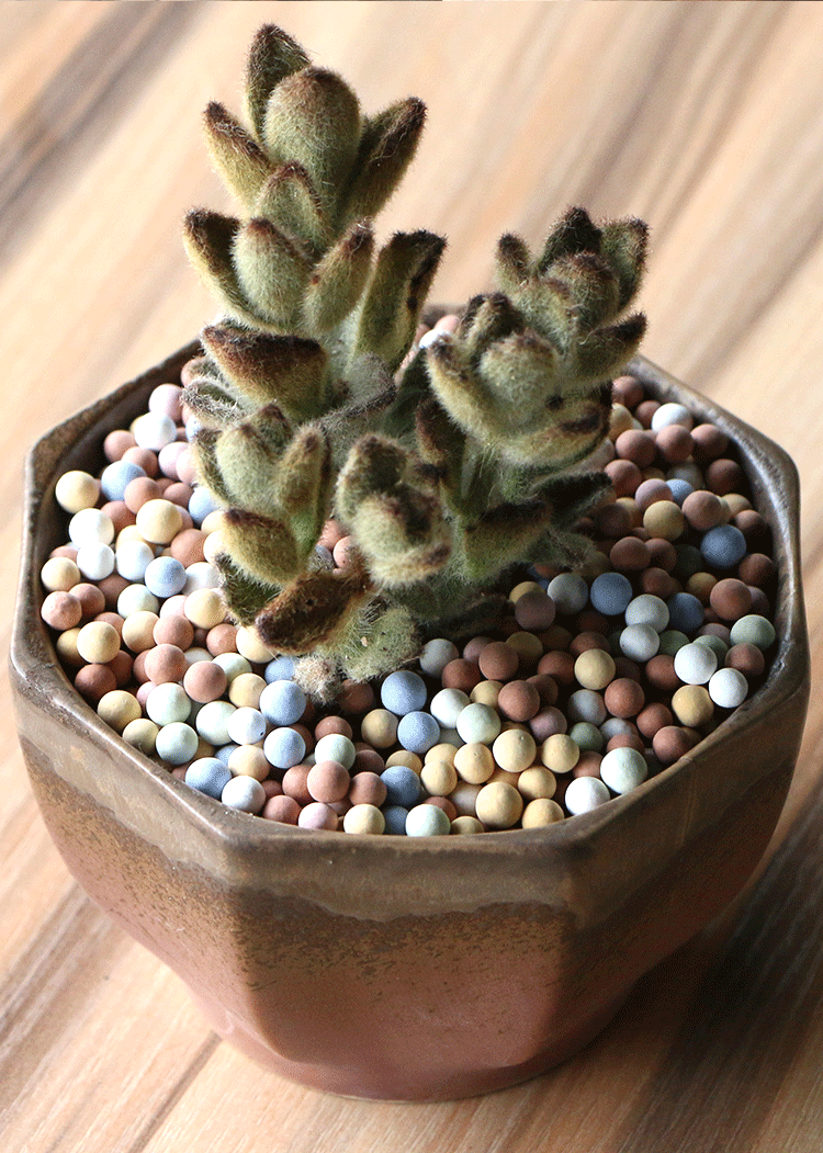 陶粒花用植物垫底颗粒无土水培多肉花卉装饰铺面透气陶粒球土 黏土