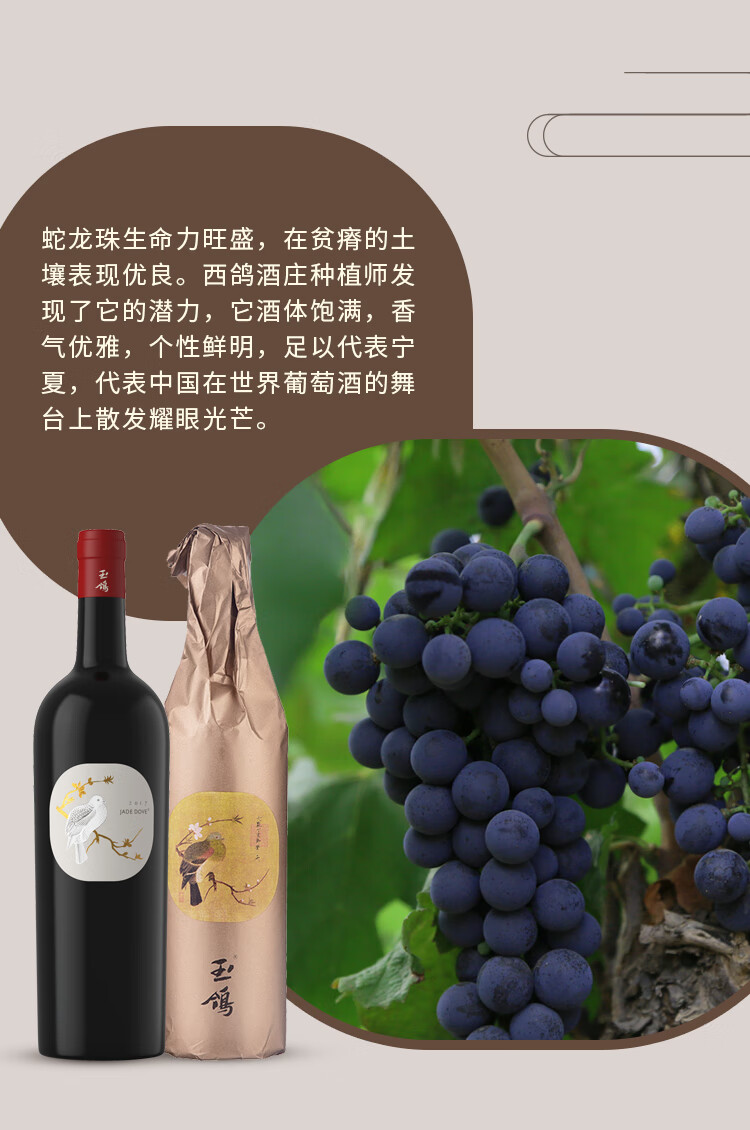 玉鸽葡萄酒价格及图片图片