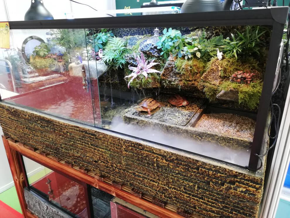 乌龟缸带晒台玻璃水龟缸雨林造景水陆缸缸黄缘龟缸巴西龟缸 yp-1005