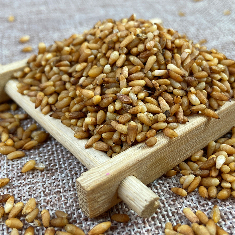 北京同仁堂柏子仁中药材500克g炒柏子仁柏子果侧柏子伯子仁白子仁柏实