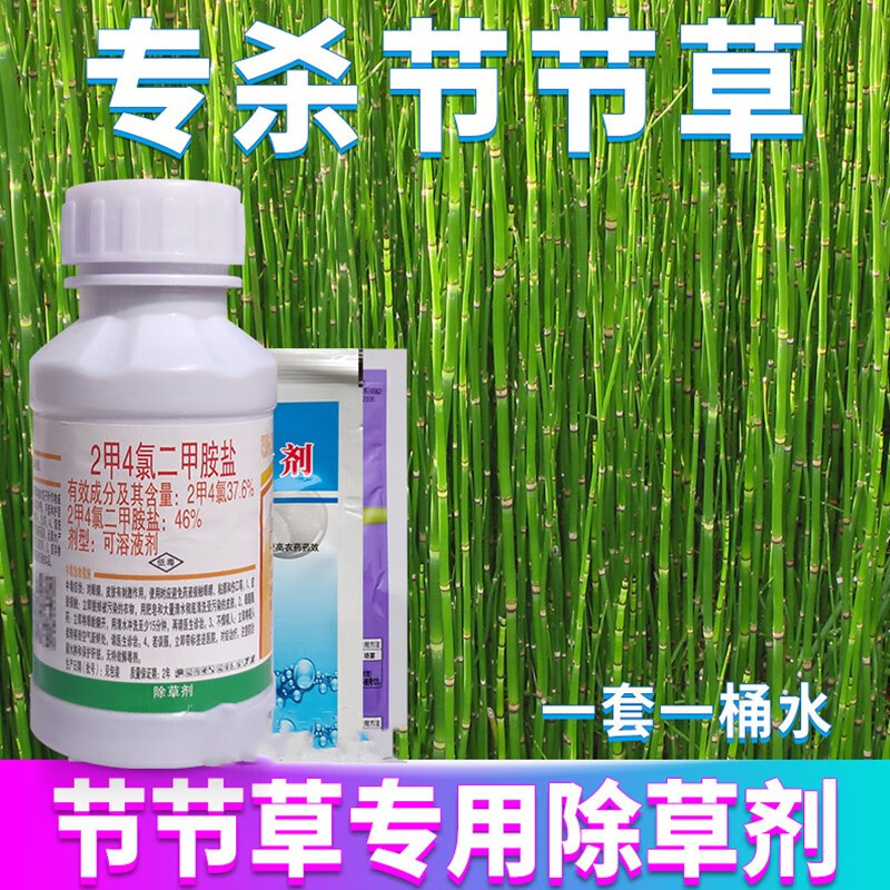 节节草除草剂笔管草克星笔筒草烂根神药二甲四氯钠专用灭杀草药剂 90g
