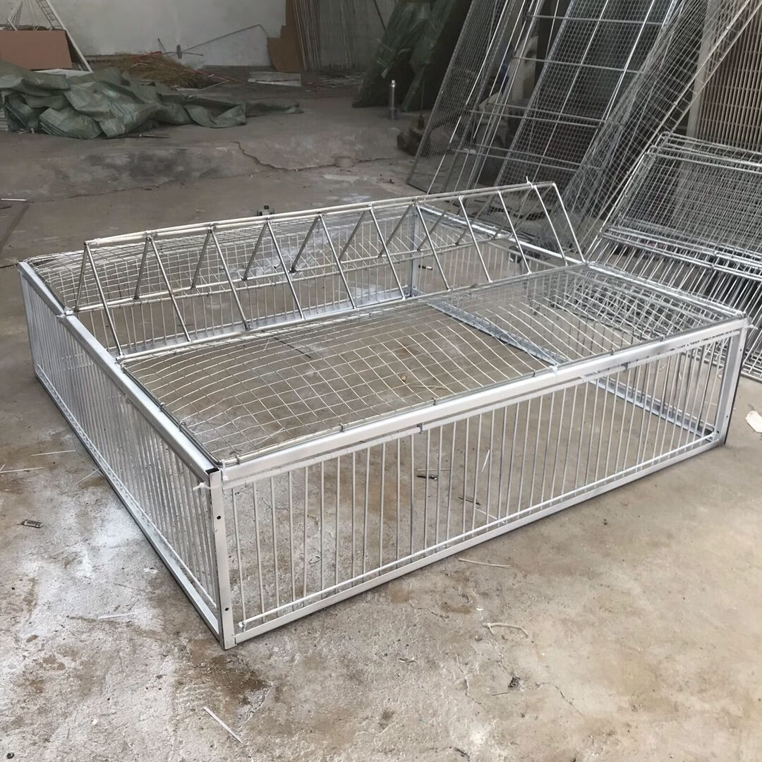 鸽子跳笼只能进不能出新款天落笼加密碰门只进不出鸽子笼跳笼碰门笼鸽