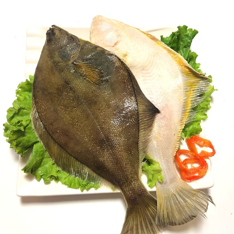 大菜园鼓眼鱼鲜活冷冻小鼓眼鱼高眼鱼蝶鱼偏口鱼豆鼓鱼15kg3斤