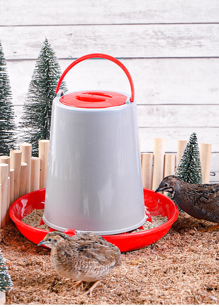 芦丁鸡喂食器鹦鹉自动下料器鸽子饮水器水壶鸟食盒雏鸡小鸡喂水器凡佰