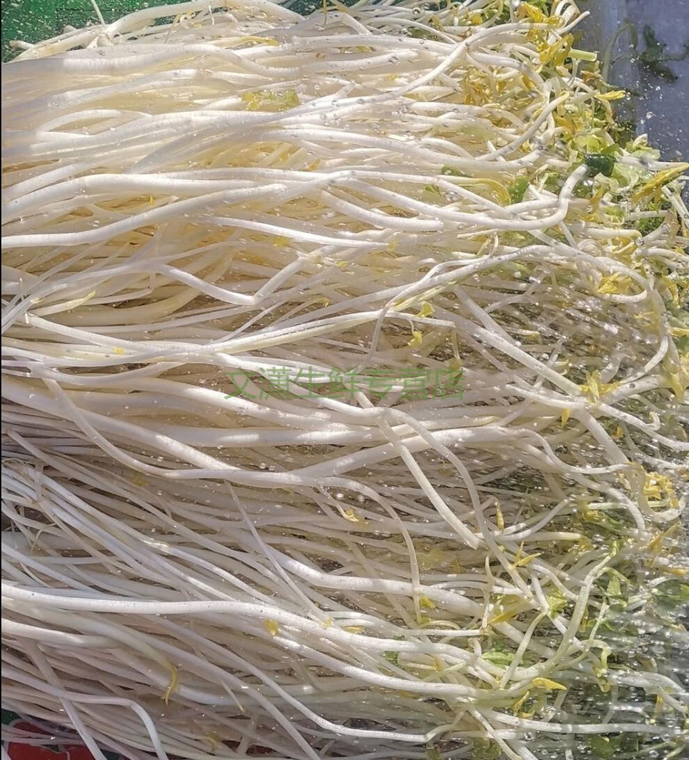 溧阳上兴白芹溧阳特产芹芽农家产地直发时令新鲜蔬菜美食礼品一斤500