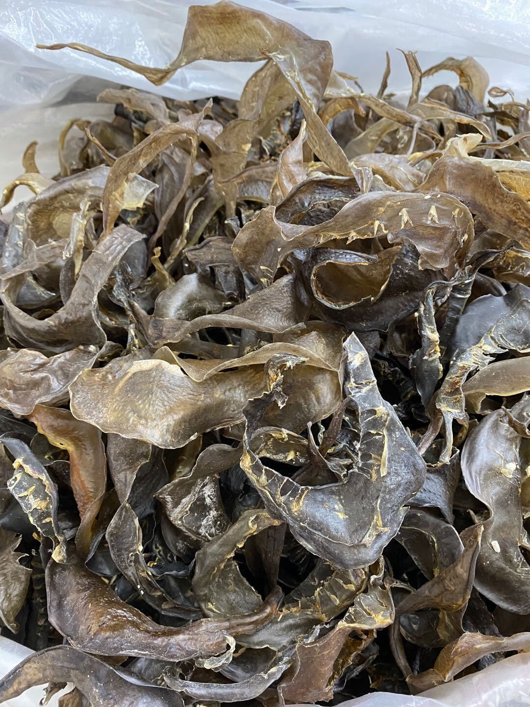 有仁堂90头甲鱼裙边干水鱼边王八裙边龟裙边乌龟边龟板胶250g 250g