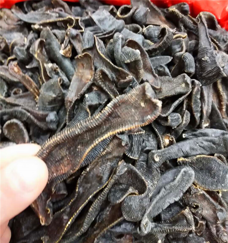 中药材野生清水水蛭干货 吊干蚂蟥无盐无矾磨粉500克【图片 价格 品牌