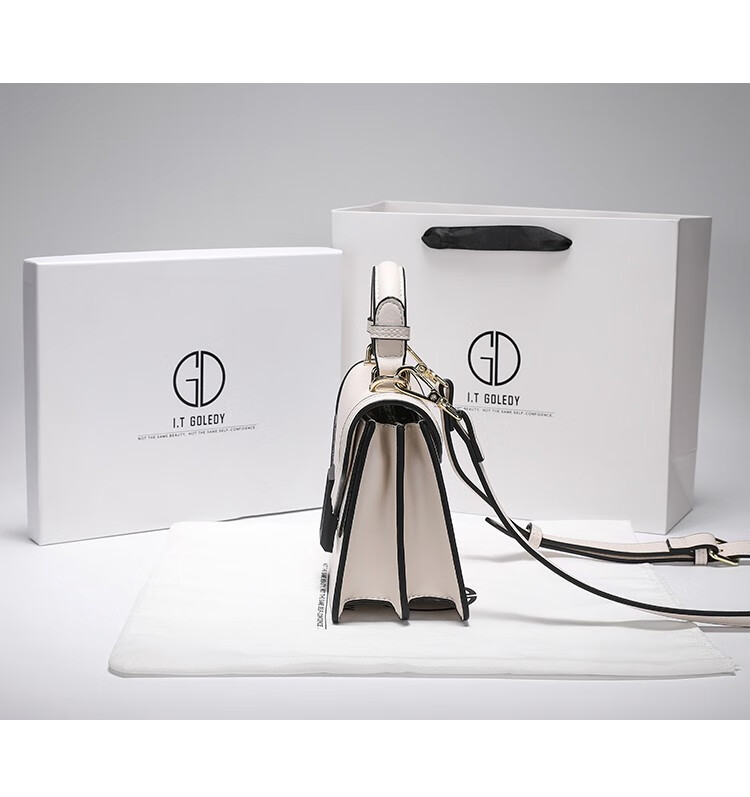 2022新款香港itgdledy小众真皮质感包包女潮洋气单肩斜挎包 黑色 香港