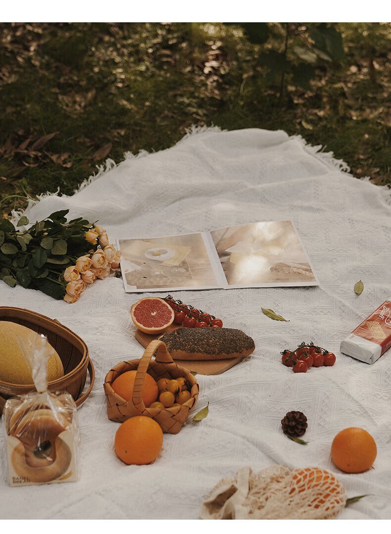 野餐桌布出游户外露营地垫野餐垫ins风沙滩垫加厚白色野餐布网红用品