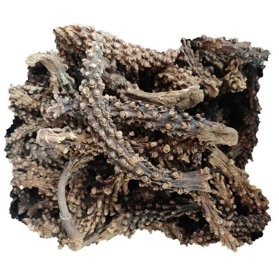 野生虎鞭草 硬茎草 云南苗药泡酒料500克-100g子孙草 虎鞭草 虎鞭草 2