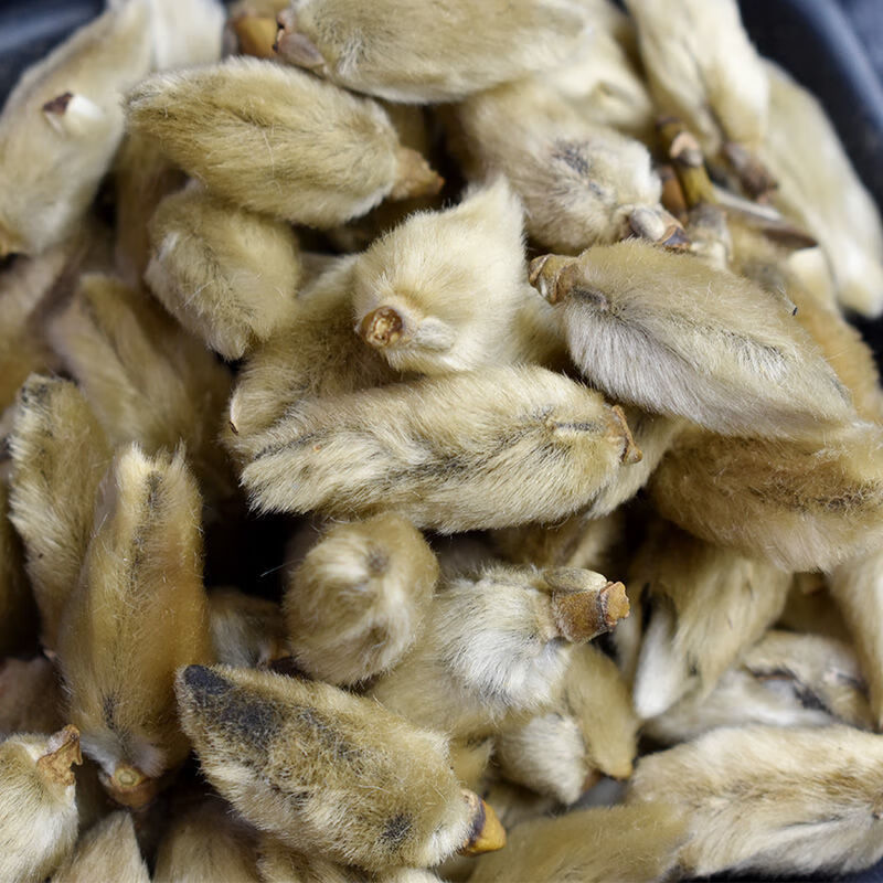 花中药材辛夷花粉野生毛桃木笔花玉兰花望春卤肉香料调料佐料 辛夷花