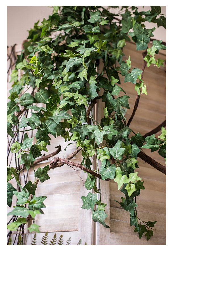掬涵 常春藤仿真绿植装饰爬藤缠绕藤蔓植物装饰造景墙面气氛 e小型垂