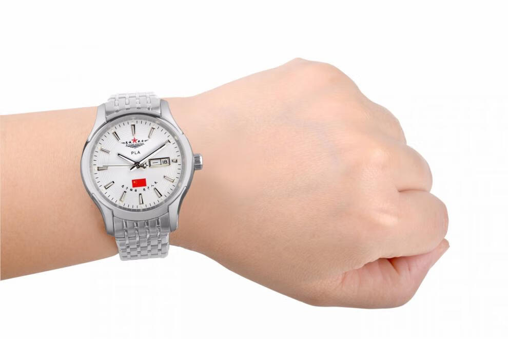 海鸥(seagull)退伍老兵纪念款军表忠诚战士男士特种夜光 机械表中国军