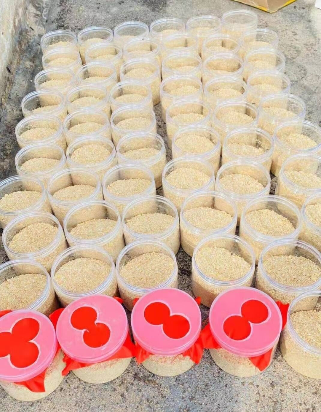 有仁堂黑水虻虫卵顺丰凤凰虫卵足量直销四季有货每瓶50克共100克