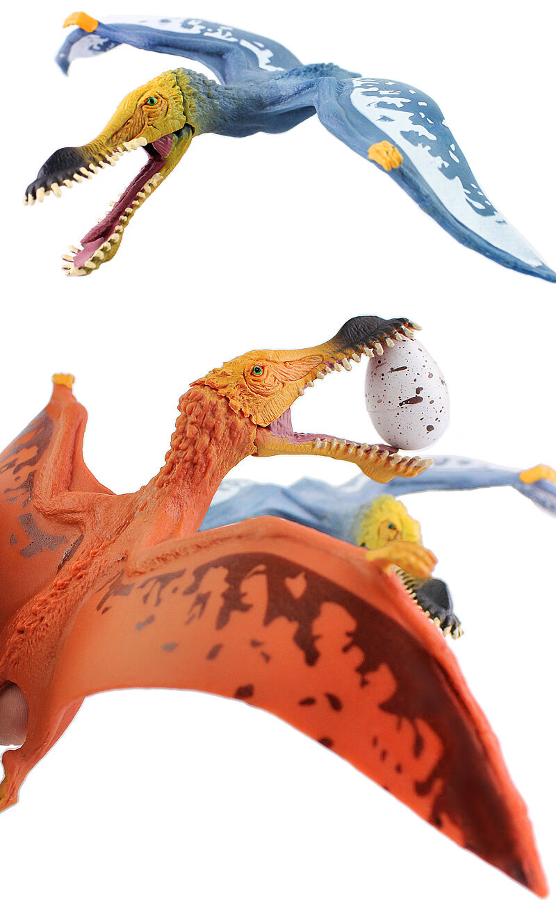 侏罗纪翼龙玩具恐龙模型风神翼龙无齿翼龙仿真动物模型儿童男孩 无齿