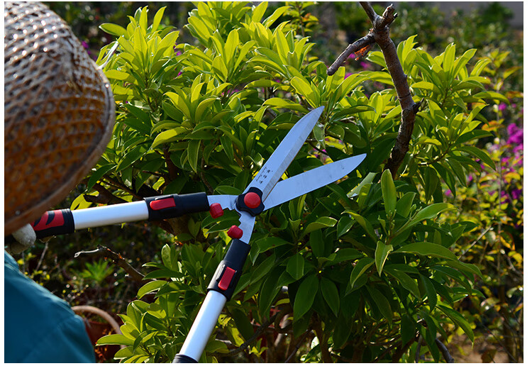 修草坪剪刀修枝剪园林绿化剪草大剪刀花木剪刀园艺剪刀花剪 直型非