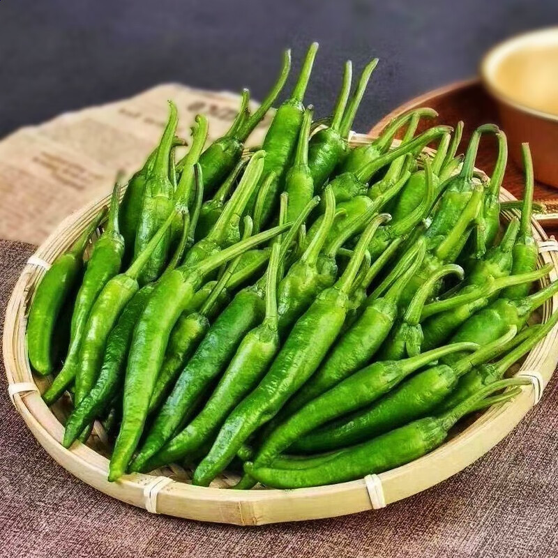 北蔬樟树辣椒种子湖南港正宗蔬菜苗苗樟树丨港辣椒苗12棵优惠价