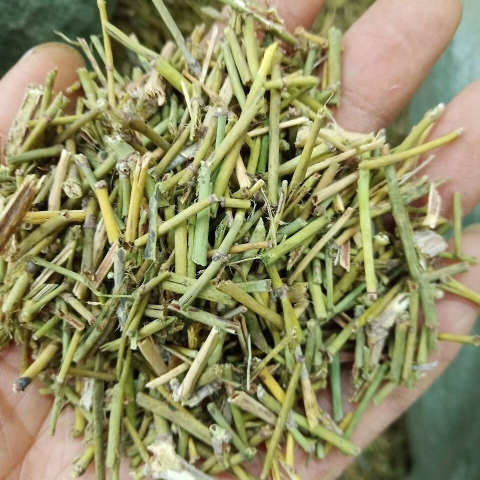 中药材 麻黄根 苦椿菜 色道麻 结力根 麻黄根披发 生麻黄 1千克【图片