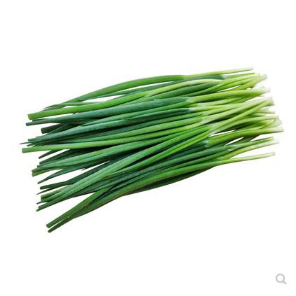 小葱新鲜现挖农家蔬菜蘸酱葱小葱东北小水葱三斤特惠