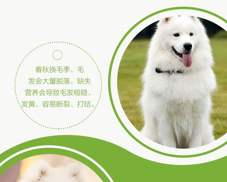 钙美力雪山狗粮萨摩耶狗粮幼犬专用天然鲜肉配方狗粮10kg 图片价格品牌报价 京东