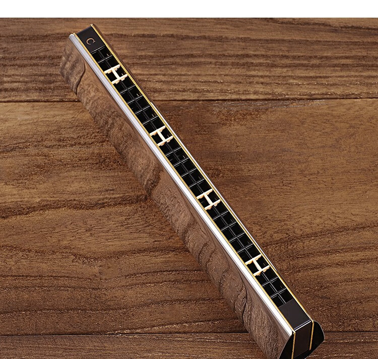 进口音簧国光回声口琴24孔复音c调初学者学生儿童重音高级成人专业