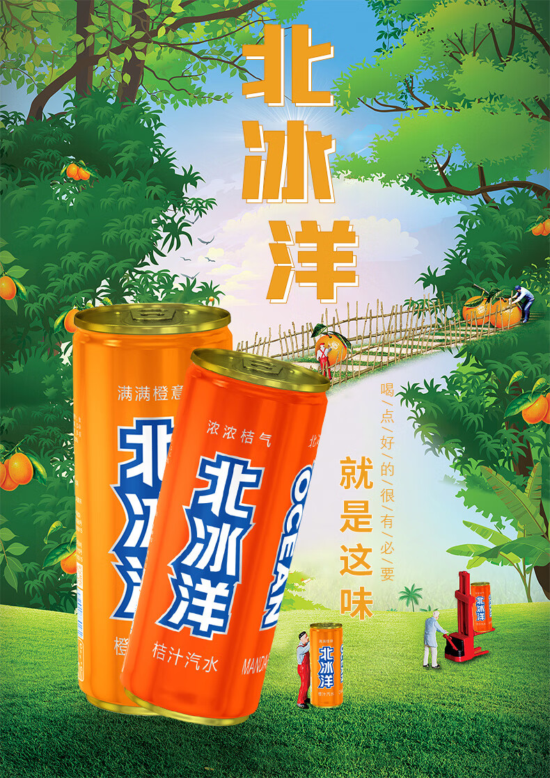 北冰洋 汽水老北京碳酸饮料果汁饮品 橙 桔组合 330ml*12听 整箱