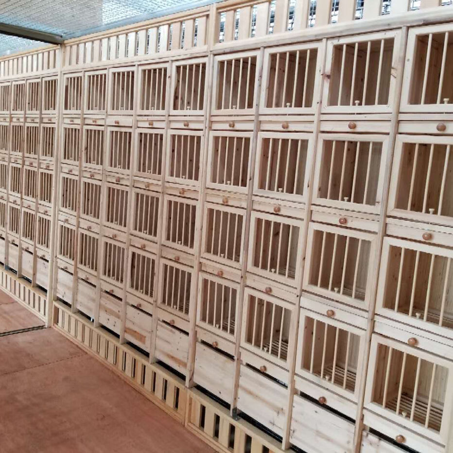 赛鸽种鸽巢箱 配对笼 阳台鸽舍 实木鸽笼 组合巢箱 多层 调节巢箱 带