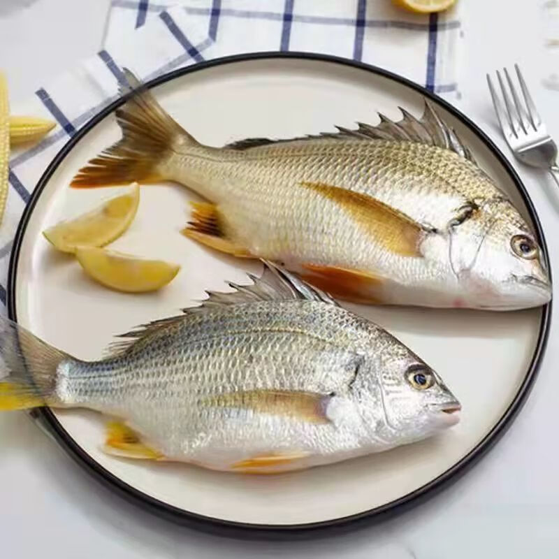 铭语然黄翅鱼黄立鱼新鲜海捕海鲜水产活冻黄翅黄翅鱼1斤34条斤