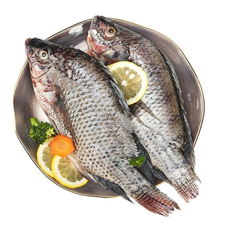 春光岛新鲜冷冻罗非鱼三去罗非鱼隆云整箱8斤
