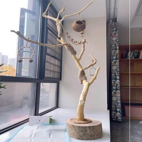 鹦鹉站架大型树枝鹦鹉专用站架树枝原木杈干枝枯木玄风鸟站架造型 1.