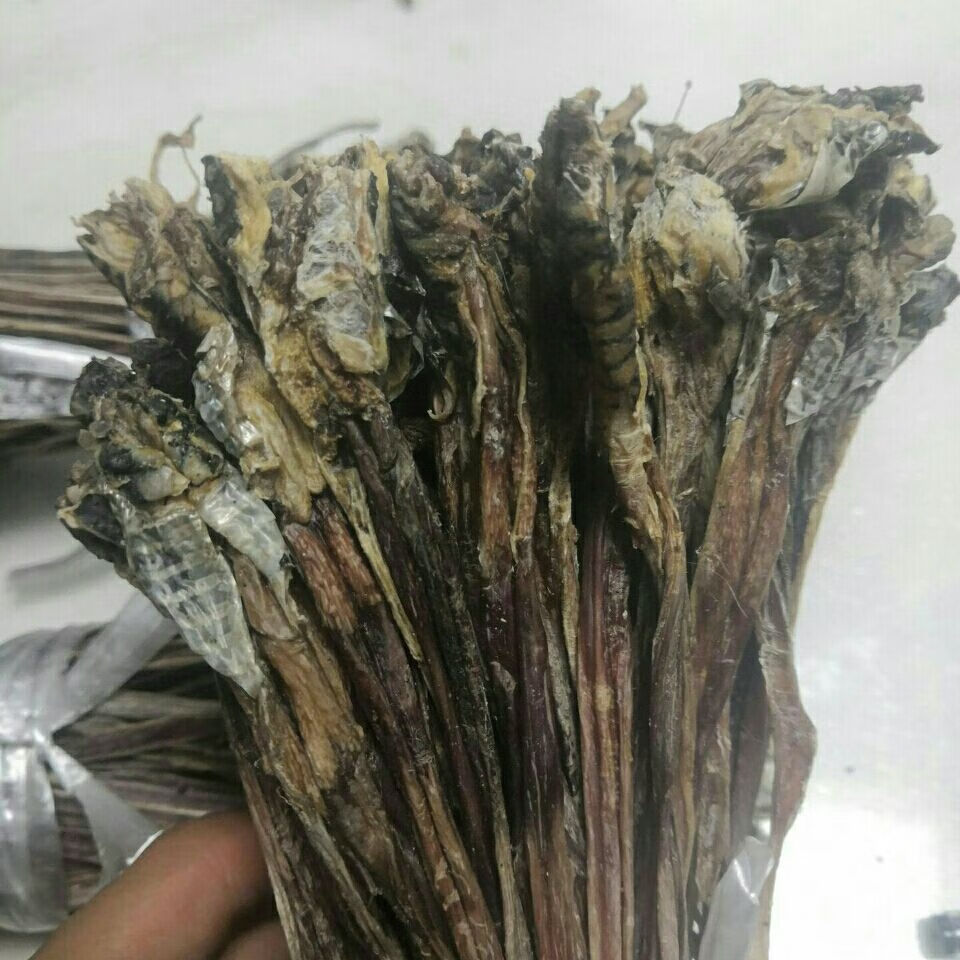 蛇鞭 蛇鞭干 泡酒料 大条蛇鞭 蛇鞭蛇鞭 各种规格 长度20公分 10双条