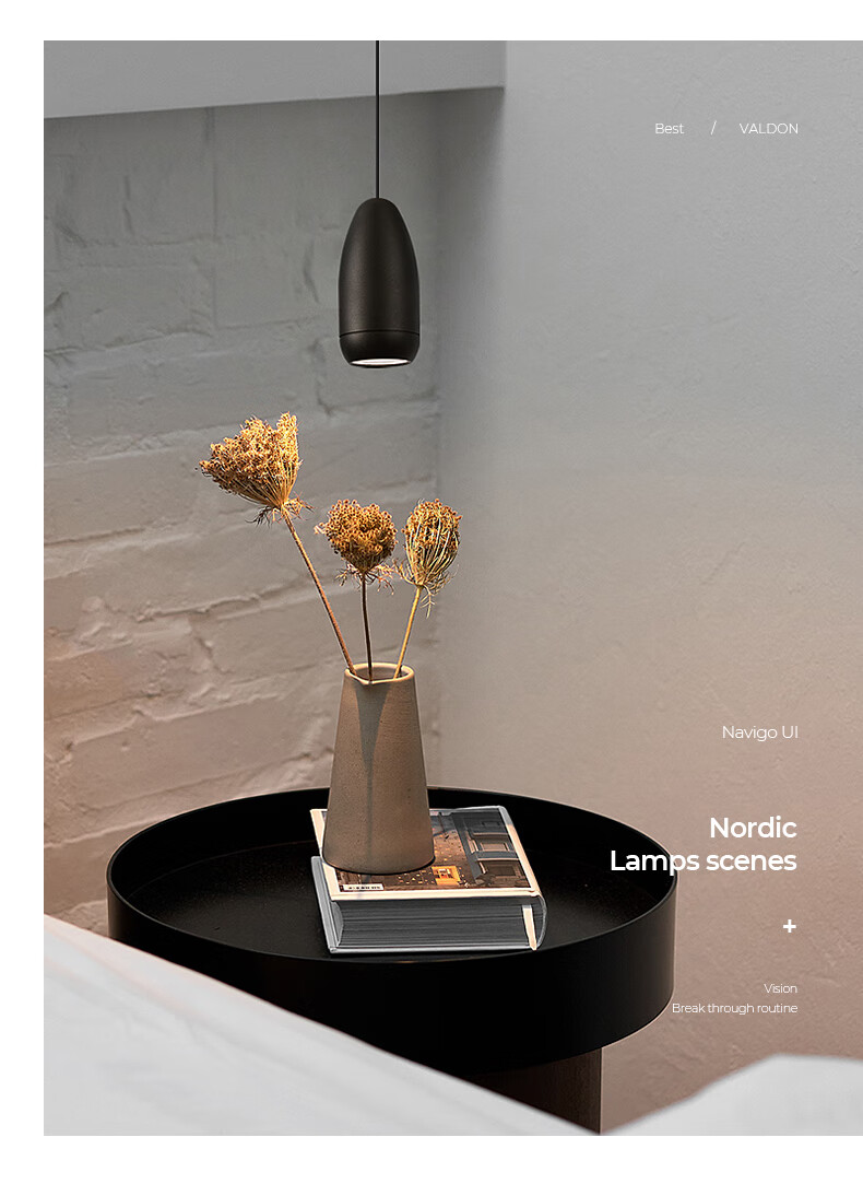 普洛缇简约现代北欧吊灯led床头卧室单头个性北欧餐厅吊灯吧台黑色5w