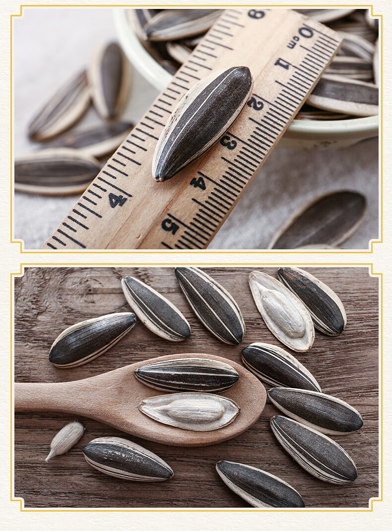 眼镜小猫旗舰店大板嗑原味超级大瓜子150克5袋桦甸特产