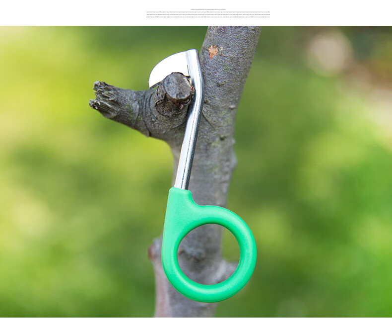 和之家柚子树柑橘果树环割刀剥皮环剥刀荔枝葡萄桃树环剥刀0到8号全 8