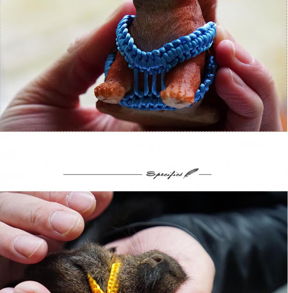 体背心式松鼠绳雪地土拨鼠小宠咬牵引绳胸背带勒外带用品套餐手工绳