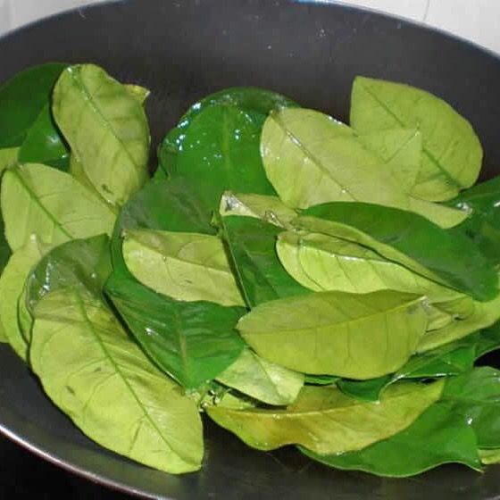 50片装柚子叶新鲜去晦气开运沐浴洗澡60年老树叶子当天采摘鲜叶50片装